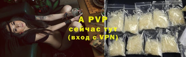 амф Белокуриха