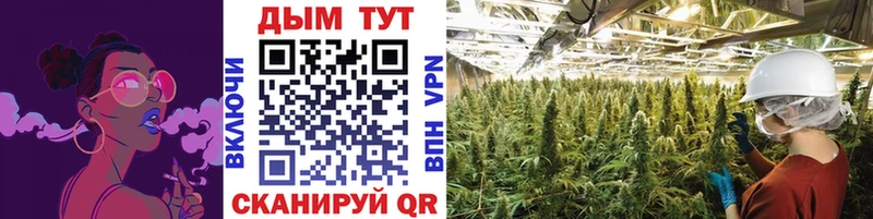 Бошки Шишки планчик  Томари 